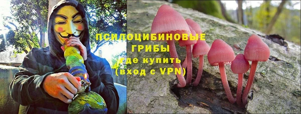 2c-b Осинники