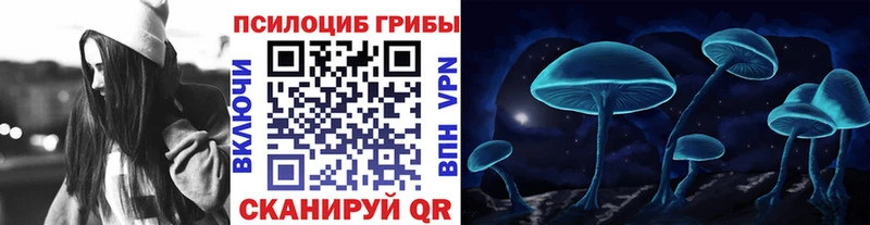 Псилоцибиновые грибы мицелий  хочу   Талица 